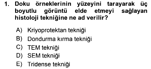 Temel Veteriner Histoloji ve Embriyoloji 2015-2016 Ara Sınav - 1. soru
