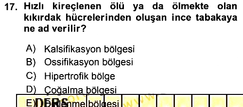 Temel Veteriner Histoloji ve Embriyoloji 2015-2016 Ara Sınav - 17. soru