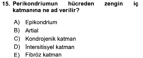 Temel Veteriner Histoloji ve Embriyoloji 2016-2017 Ara Sınav - 15. soru