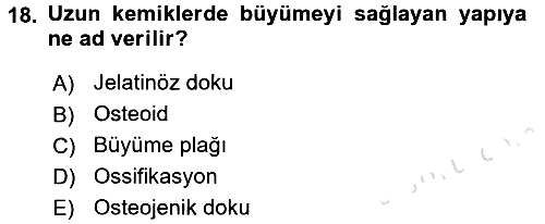 Temel Veteriner Histoloji ve Embriyoloji 2017-2018 Ara Sınav - 18. soru