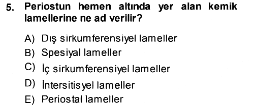 Temel Veteriner Histoloji ve Embriyoloji 2013-2014 Dönem Sonu Sınavı - 5. soru
