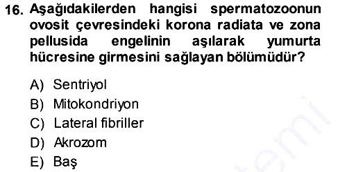 Temel Veteriner Histoloji ve Embriyoloji 2013-2014 Dönem Sonu Sınavı - 16. soru