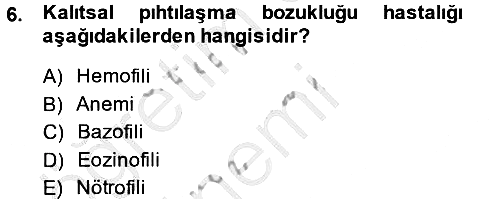 Temel Veteriner Histoloji ve Embriyoloji 2014-2015 Dönem Sonu Sınavı - 6. soru