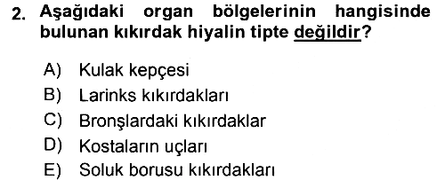 Temel Veteriner Histoloji ve Embriyoloji 2015-2016 Dönem Sonu Sınavı - 2. soru