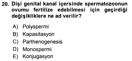 Temel Veteriner Histoloji ve Embriyoloji 2019-2020 Dönem Sonu Sınavı - 20. soru