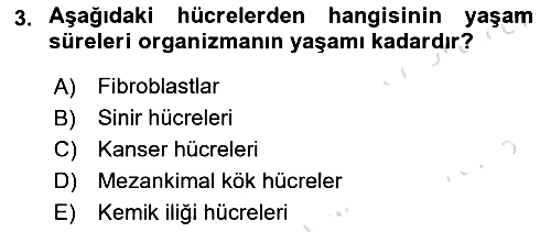 Temel Veteriner Histoloji ve Embriyoloji 2021-2022 Dönem Sonu Sınavı - 3. soru