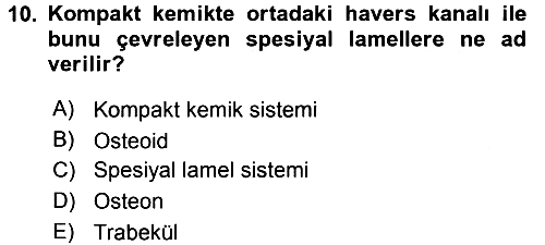 Temel Veteriner Histoloji ve Embriyoloji 2015-2016 Tek Ders Sınavı - 10. soru