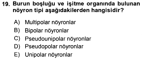Temel Veteriner Histoloji ve Embriyoloji 2015-2016 Tek Ders Sınavı - 19. soru