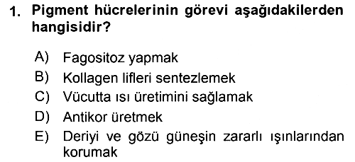 Temel Veteriner Histoloji ve Embriyoloji 2018-2019 Yaz Okulu Sınavı - 1. soru