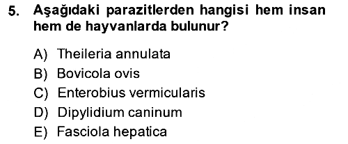 Temel Veteriner Parazitoloji 2014-2015 Ara Sınav - 5. soru