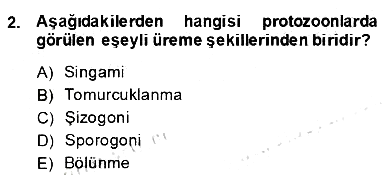 Temel Veteriner Parazitoloji 2013-2014 Dönem Sonu Sınavı - 2. soru