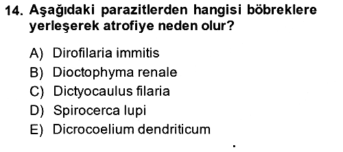 Temel Veteriner Parazitoloji 2014-2015 Dönem Sonu Sınavı - 14. soru