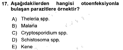 Temel Veteriner Parazitoloji 2016-2017 Dönem Sonu Sınavı - 17. soru
