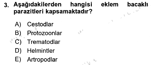 Temel Veteriner Parazitoloji 2023-2024 Dönem Sonu Sınavı - 3. soru