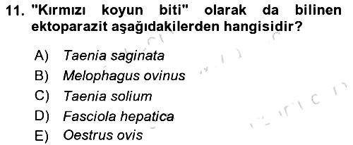 Temel Veteriner Parazitoloji 2023-2024 Dönem Sonu Sınavı - 11. soru