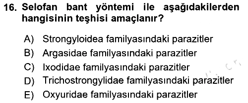 Temel Veteriner Parazitoloji 2025-2026 Dönem Sonu Sınavı - 16. soru