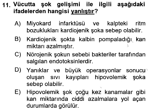 Temel Veteriner Patoloji 2018-2019 3 Ders Sınavı - 11. soru