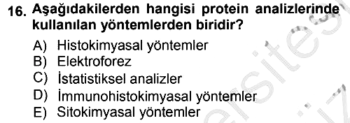 Temel Veteriner Patoloji 2012-2013 Ara Sınav - 16. soru