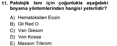 Temel Veteriner Patoloji 2014-2015 Ara Sınav - 11. soru
