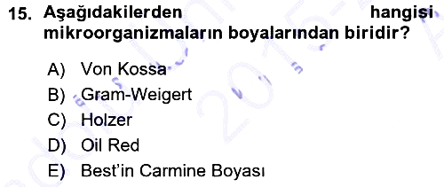 Temel Veteriner Patoloji 2015-2016 Ara Sınav - 15. soru
