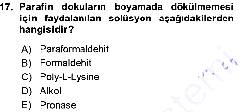 Temel Veteriner Patoloji 2015-2016 Ara Sınav - 17. soru