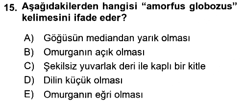 Temel Veteriner Patoloji 2015-2016 Dönem Sonu Sınavı - 15. soru