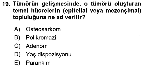 Temel Veteriner Patoloji 2016-2017 Dönem Sonu Sınavı - 19. soru