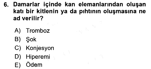 Temel Veteriner Patoloji 2018-2019 Dönem Sonu Sınavı - 6. soru