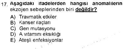Temel Veteriner Patoloji 2012-2013 Tek Ders Sınavı - 17. soru