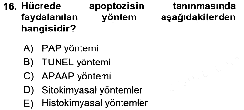Temel Veteriner Patoloji 2015-2016 Tek Ders Sınavı - 16. soru
