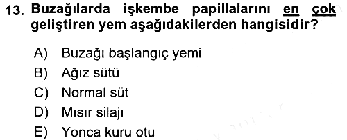 Temel Yem Bilgisi ve Hayvan Besleme 2017-2018 3 Ders Sınavı - 13. soru