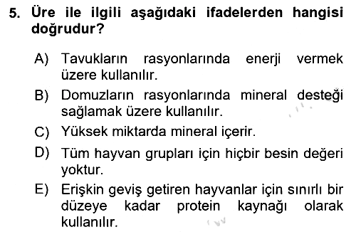Temel Yem Bilgisi ve Hayvan Besleme 2024-2025 Ara Sınav - 5. soru