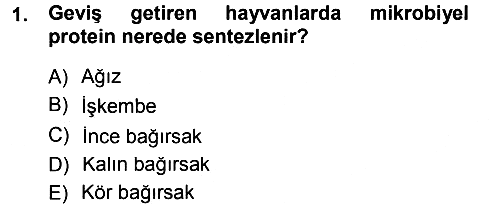 Temel Yem Bilgisi ve Hayvan Besleme 2013-2014 Tek Ders Sınavı - 1. soru