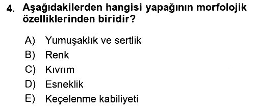 Temel Zootekni 2022-2023 Dönem Sonu Sınavı - 4. soru