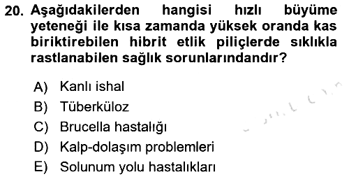 Temel Zootekni 2023-2024 Dönem Sonu Sınavı - 20. soru