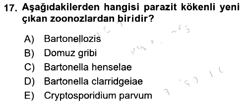 Veteriner Hizmetleri Mevzuatı ve Etik 2019-2020 Dönem Sonu Sınavı - 17. soru