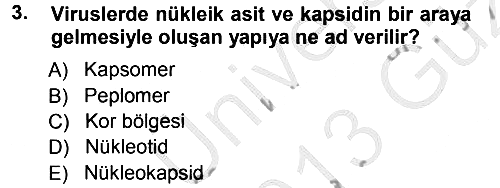 Viroloji 2012-2013 Ara Sınav - 3. soru