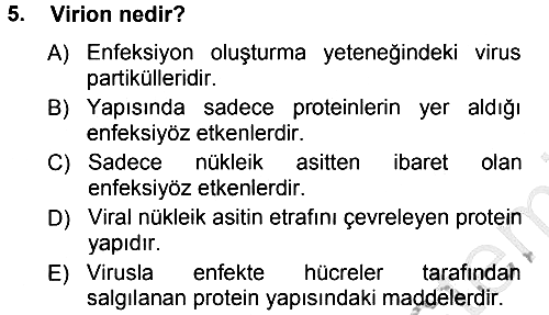 Viroloji 2012-2013 Ara Sınav - 5. soru