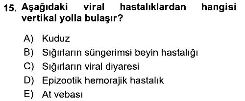 Viroloji 2022-2023 Ara Sınav - 15. soru