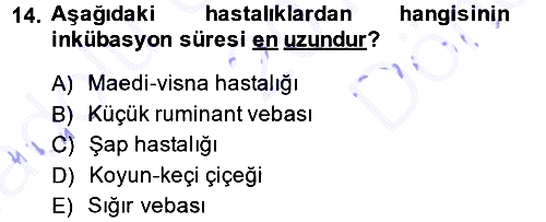 Viroloji 2013-2014 Dönem Sonu Sınavı - 14. soru