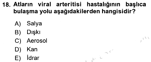 Viroloji 2023-2024 Dönem Sonu Sınavı - 18. soru