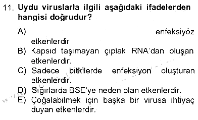 Viroloji 2012-2013 Tek Ders Sınavı - 11. soru