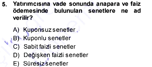 Devlet Borçları 2013-2014 Ara Sınav - 5. soru