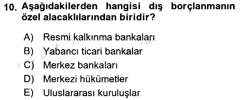 Devlet Borçları 2017-2018 Ara Sınav - 10. soru