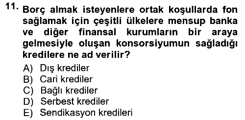 Devlet Borçları 2012-2013 Dönem Sonu Sınavı - 11. soru