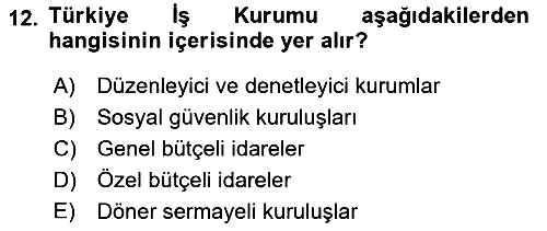 Devlet Bütçesi 2023-2024 Yaz Okulu Sınavı - 12. soru