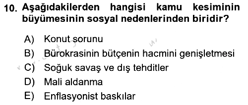 Kamu Ekonomisi 1 2018-2019 3 Ders Sınavı - 10. soru