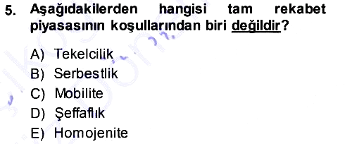 Kamu Ekonomisi 1 2013-2014 Ara Sınav - 5. soru