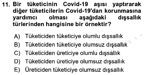 Kamu Ekonomisi 1 2021-2022 Dönem Sonu Sınavı - 11. soru