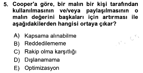 Kamu Ekonomisi 1 2024-2025 Dönem Sonu Sınavı - 5. soru